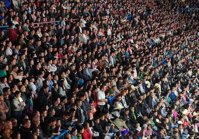 场面火爆！高尔夫观众席沸腾不已的简单介绍