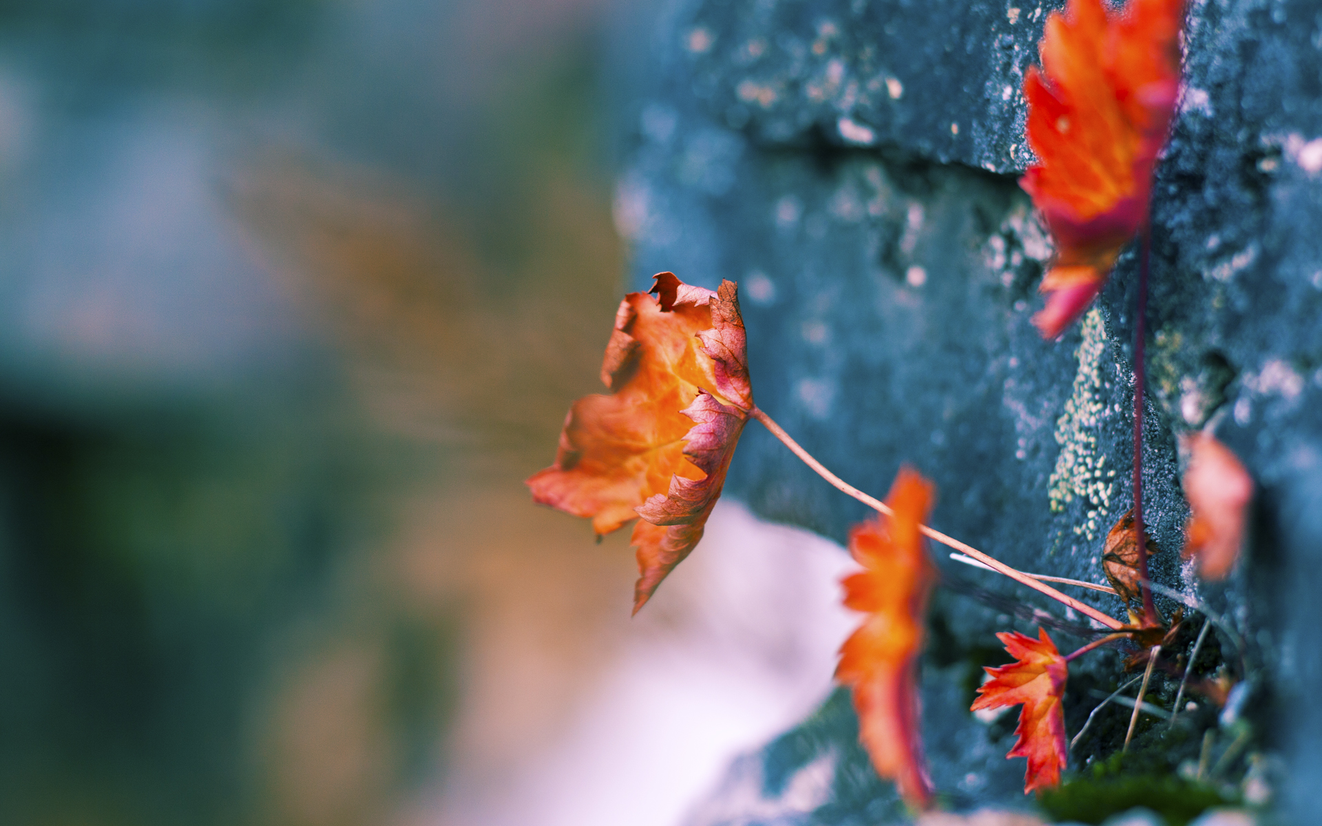 铁壁与星爆，山西队团队压制与文班亚马的个人闪耀