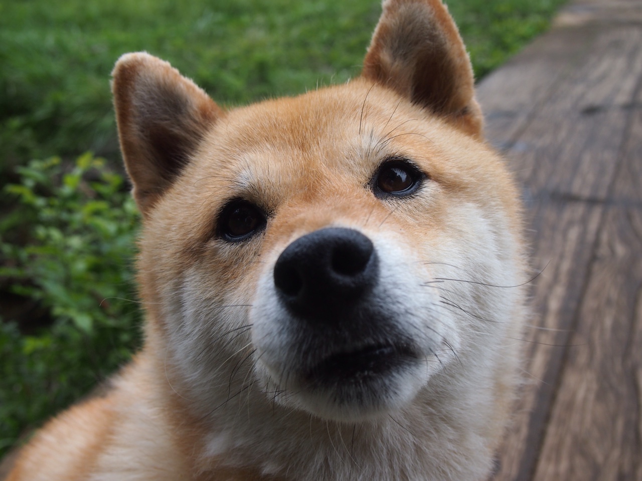 破解无解贝恩，雷霆如何以团队利刃斩落绿衫军