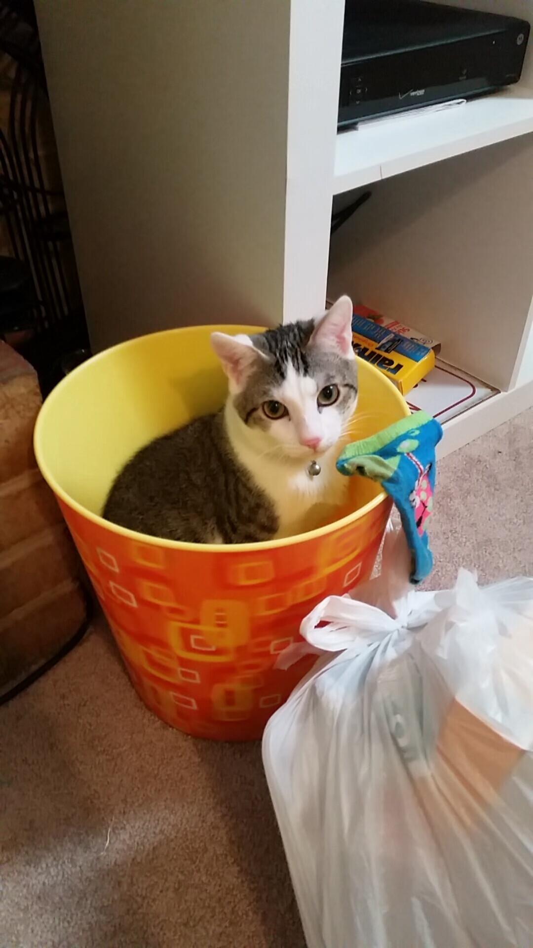 范戴克闪耀南美对决？荷兰铁卫竟成土耳其秘鲁之战隐形MVP