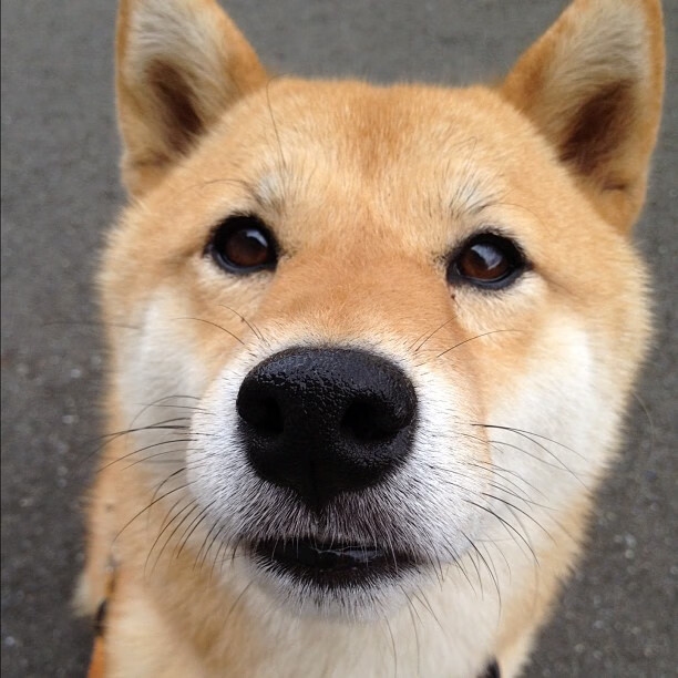 当引擎轰鸣遇见终场哨响，赛场上的那些唯一瞬间