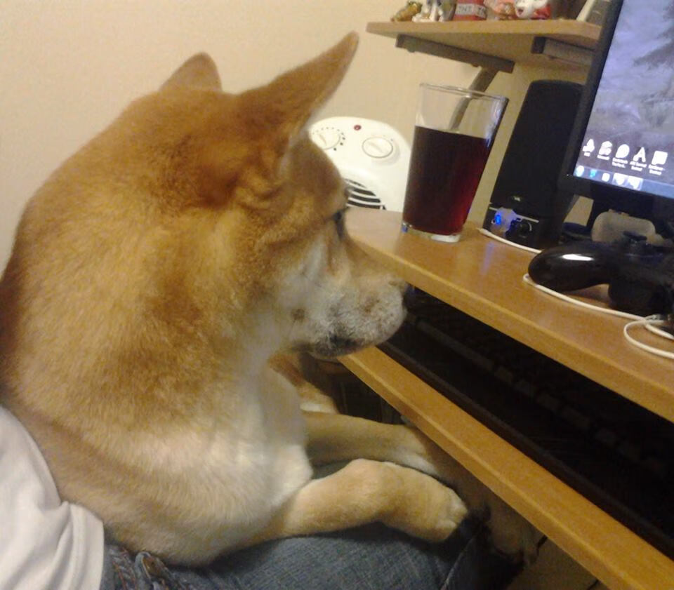 战术板上的签名，拉梅洛·鲍尔如何在火箭击溃马刺之夜完成自己的杰作