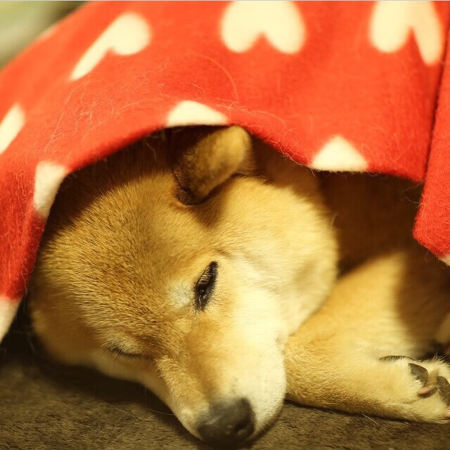 临危受命,一剑封喉,奥亚尔萨瓦尔在奥运关键战之夜完成正名