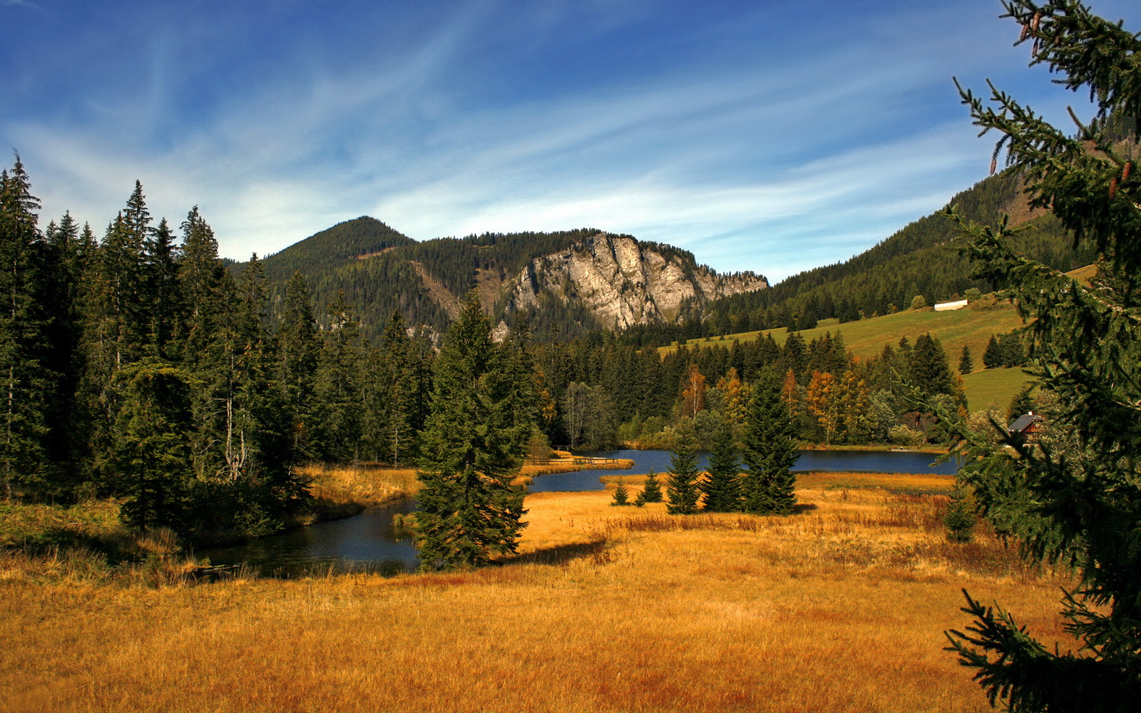当基米希在尼日利亚收割马里之夜接管比赛