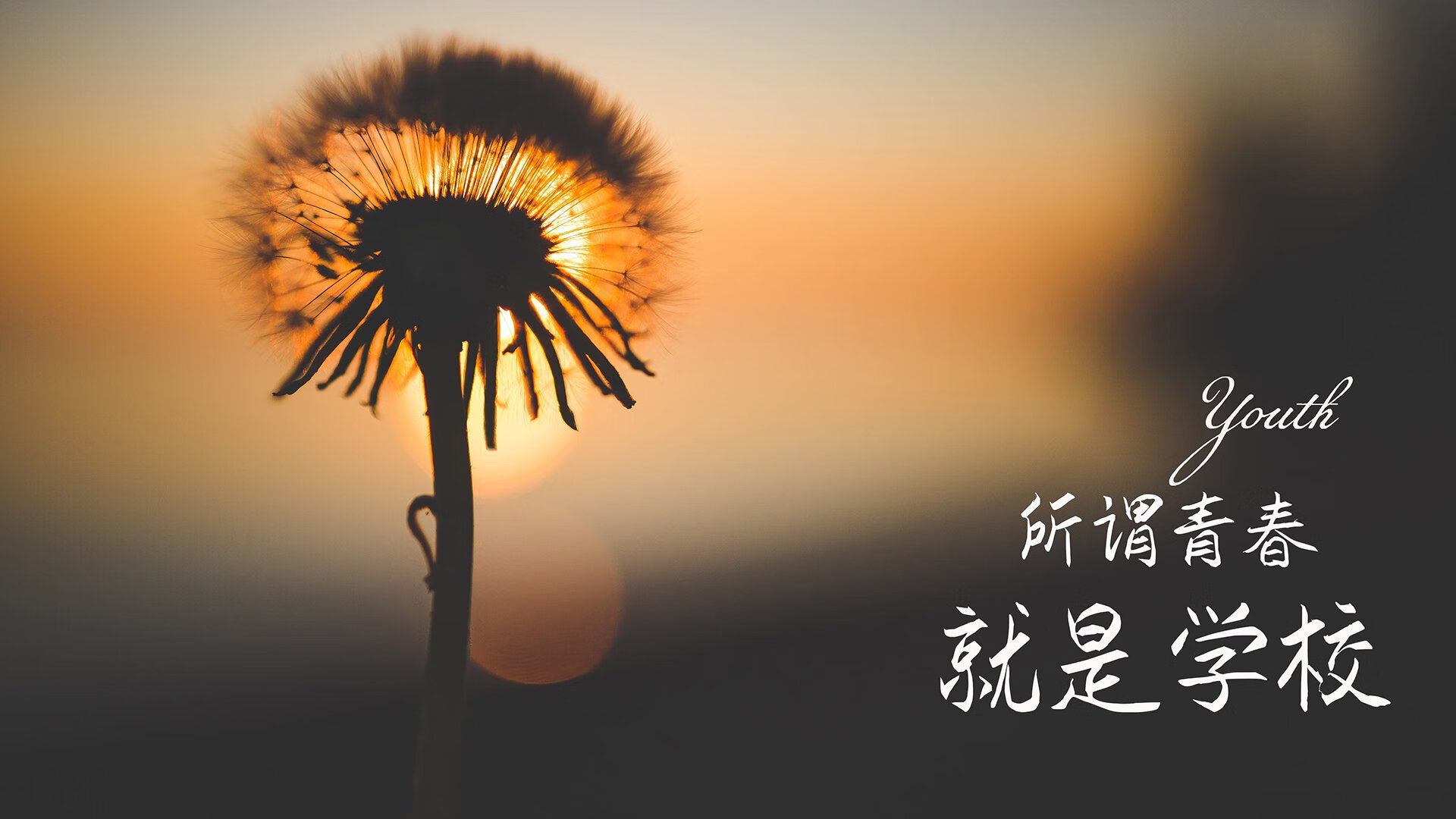 虚拟界限的破壁者，2026世界杯焦点周的篮球奇观