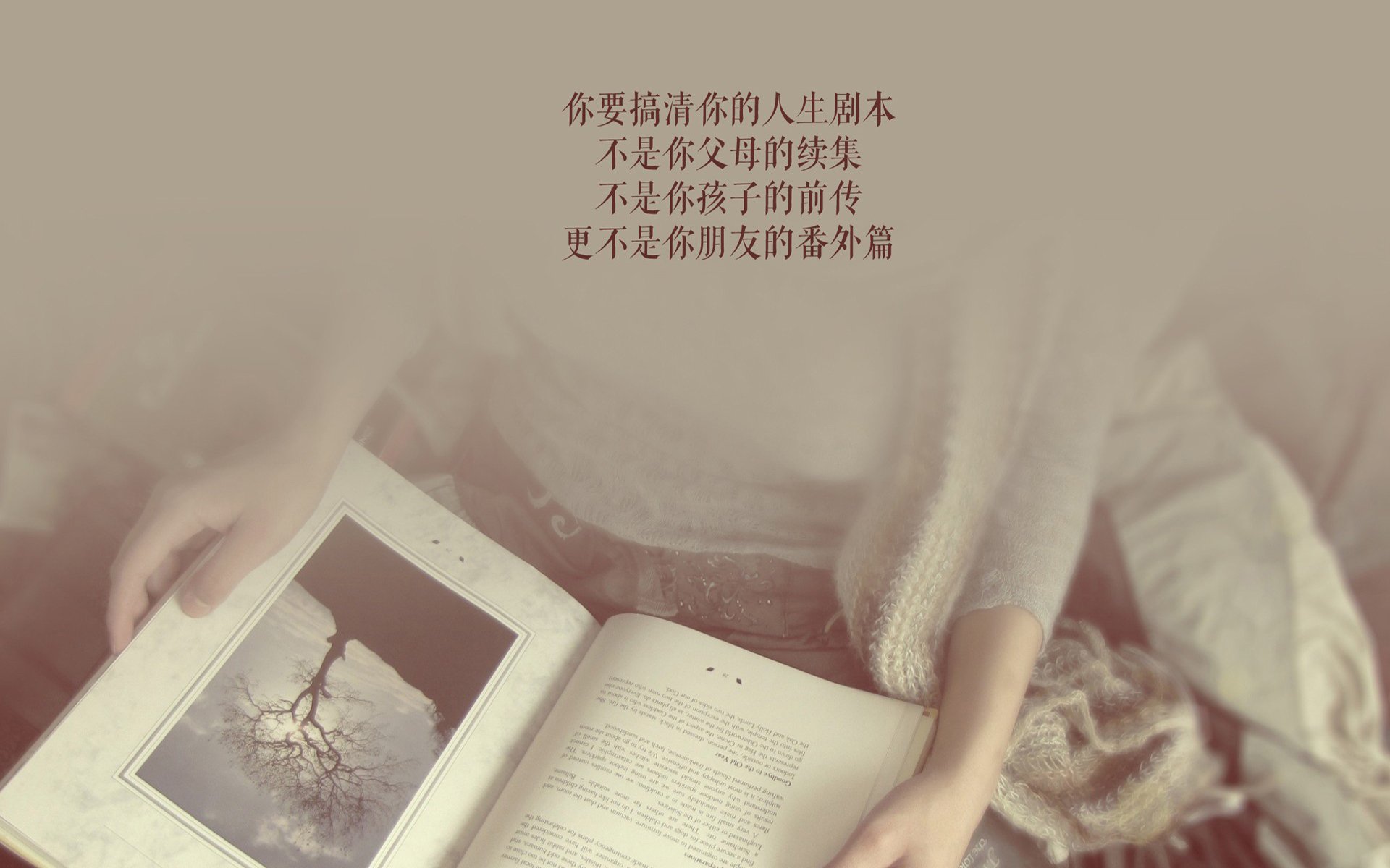 高原之子的闪电战,圣托纳利率厄瓜多尔以唯一之名,在2026决赛风暴中横扫墨西哥