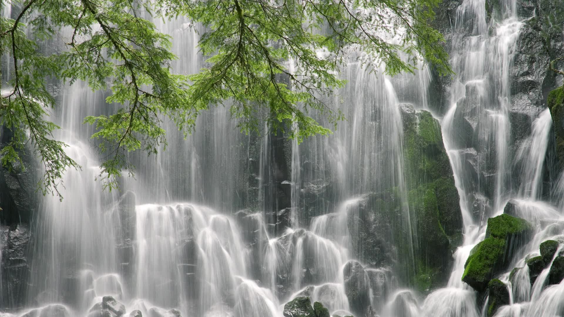安第斯山脉的逆光，2026世界杯F组，贝林厄姆与一场改写南美足球版图的史诗逆转
