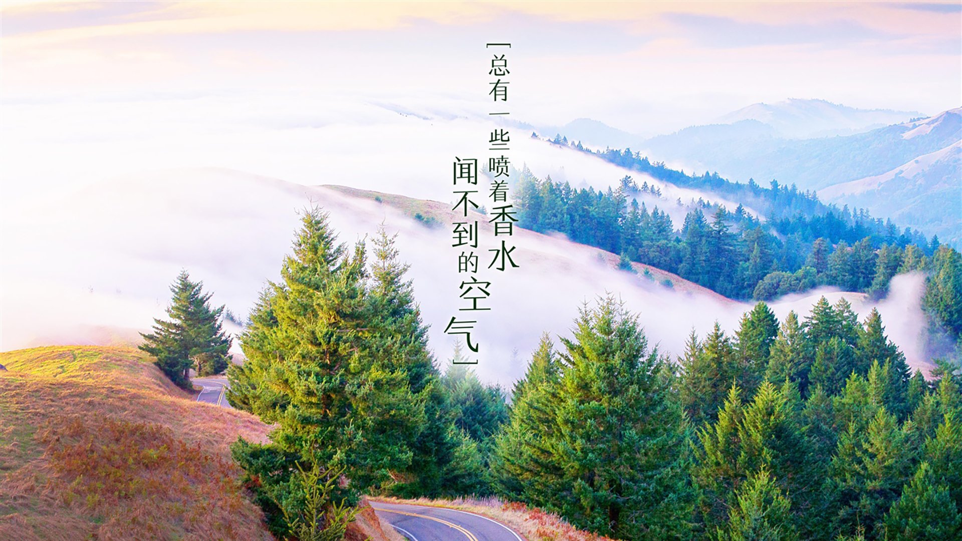 塞纳河畔的蓝色月光—2026世界杯法比之战,穆西亚拉用一脚写就的弑神记