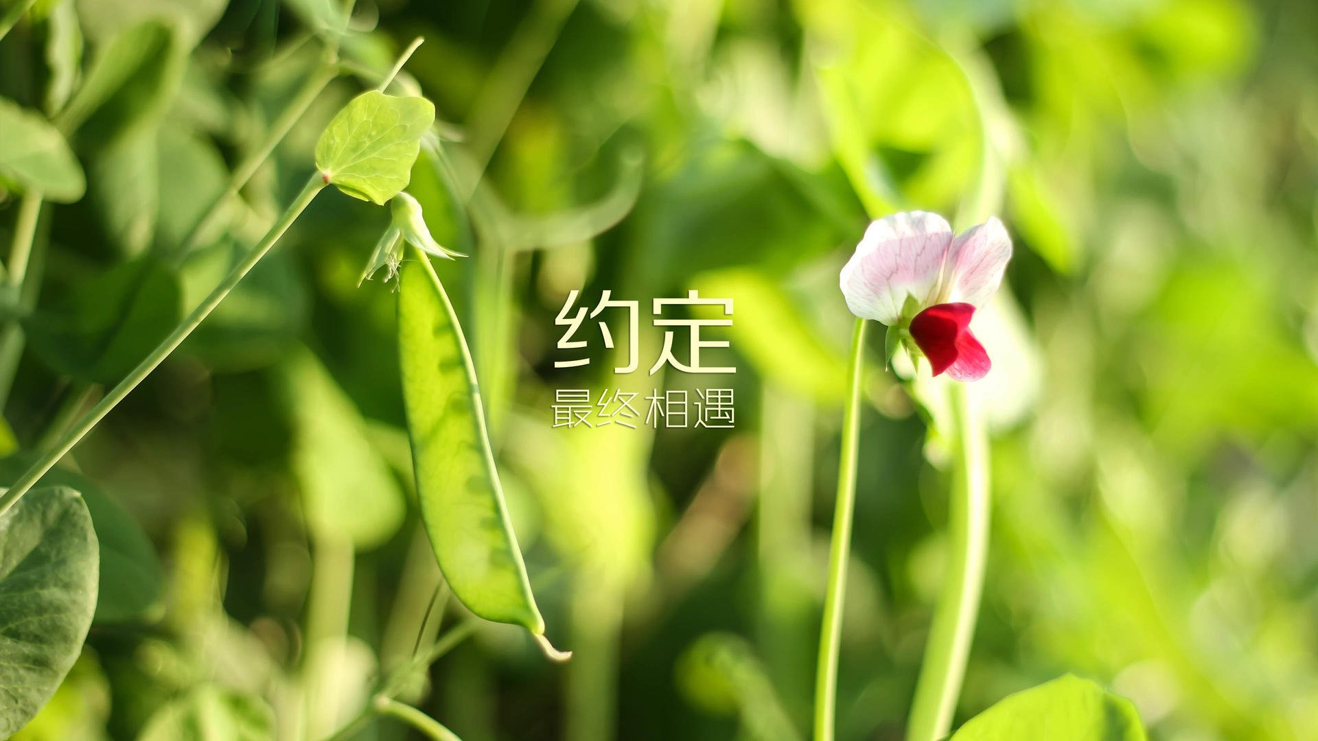 扩展思维，文章标题