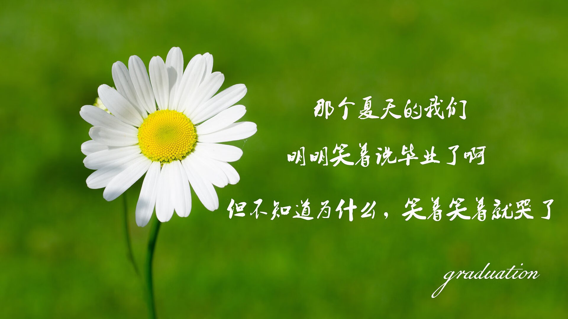 开云体育在线-首先，把握核心要素